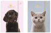 Teczka z gumką a4+ lux uv puppy sign 215406