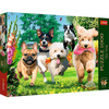 Puzzle Trefl 1000 Premium Plus Tea Time Nadchodzą klopoty 108002