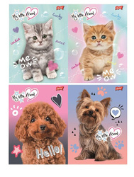 Zeszyt A5 16k linia podwójna dwukolorowa laminowany MY LITTLE FRIEND 668272