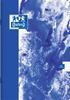 Zeszyt Oxford A5 60k linia 90g Paint 414667