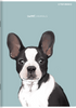 Zeszyt Top 2000 A5 60k linia z marginesem 70g Sweet Animal 413189