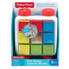 Fisher price klocki aktywizujące do ciągnięcia gjw10