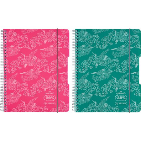 Herlitz Kołozeszyt A4 80k krata 70g 2 spirale Eco PP Colors 501452