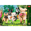 Puzzle Trefl 1000 Premium Plus Tea Time Nadchodzą klopoty 108002