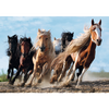 Puzzle Trefl 1000 Galopujące konie 104462