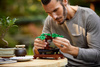 Lego 10281 drzewko bonsai