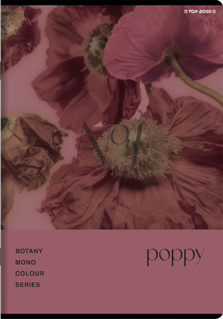 Zeszyt Top 2000 A5 60k krata 70g Botany 431121