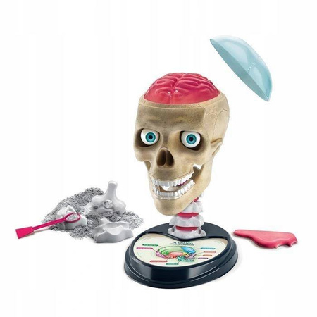 Clementoni Naukowa zabawa Zwariowana anatomia