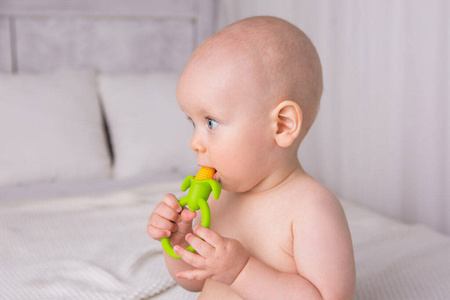 Gryzak kukurydza 958428 giligums