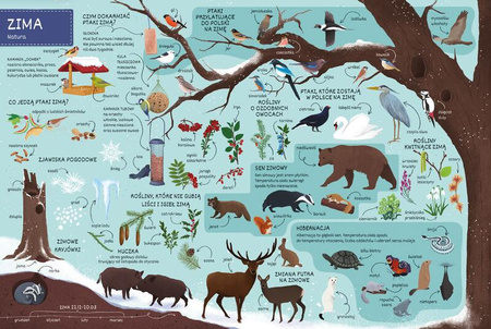 Co jest w środku? Pory roku 138439