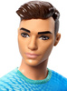 Barbie fxp02/fxp01 ken kariera ***2