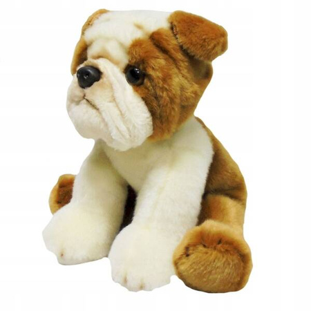 PIES BULL DOG 30 CM 847739
