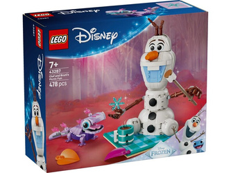 LEGO 43287 Disney Piknik Olafa i Brunieg 066782