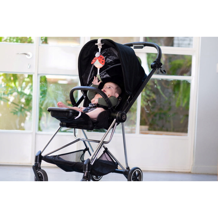 Taf Toys Pozytywka Garden Biedronka 132457