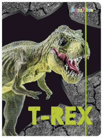 Teczka z gumką A4 T-REX 654688