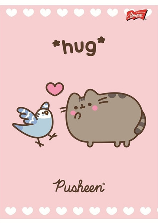 Zeszyt A5 32k linia laminowany PUSHEEN 679629