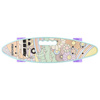 Deskorolka fish Groovy 445926