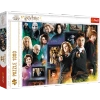 Puzzle Trefl 1000 Świat czarodziejów