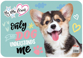 Podkład laminowany A3 MY LITTLE FRIEND 628191