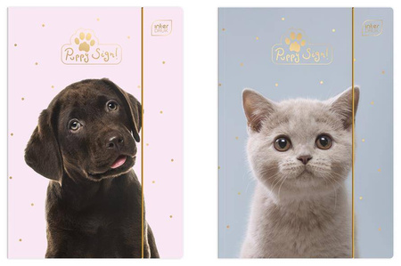 Teczka z gumką a4+ lux uv puppy sign 215406