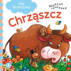 Jb-Chrząszcz 074598