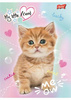 Zeszyt A5 16k krata laminowany MY LITTLE FRIEND 668265