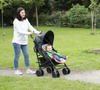 Cuddle co wkładka comfi cush do wózka dżungla 842759