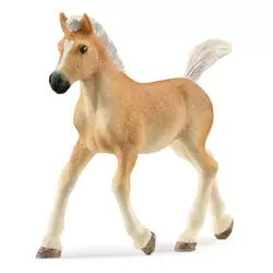 Schleich Źrebak rasy Haflinger 557519