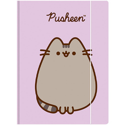 TECZKA Z GUMKĄ A4 300g PUSHEEN 679544