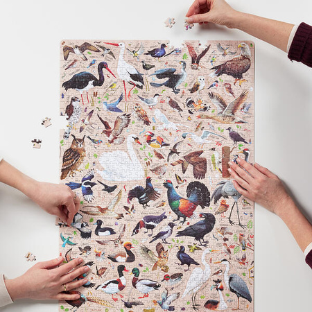 CzuCzu Puzzlove Ptaki Polski puzzle rodzinne 1000el. 493624