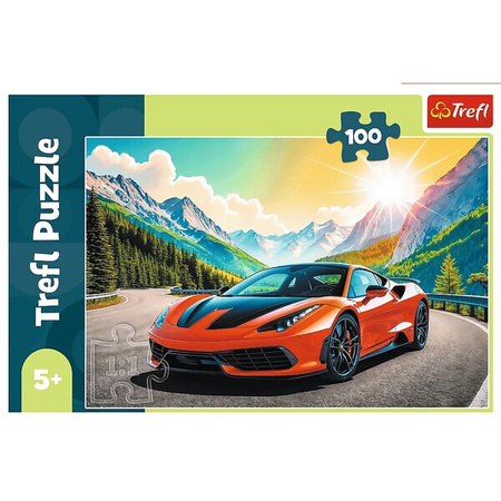 Puzzle Trefl 100 Wyścig z czasem 164909