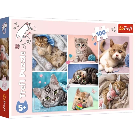 Puzzle Trefl 100 W kocim świecie