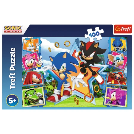 Puzzle Trefl 100 Poznaj Sonica 164657