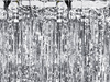 Kurtyna Party srebrna 90x250cm 453303