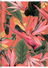 Zeszyt Top 2000 A5 80k linia z marginesem 70g Flowers 411901