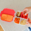 B.Box Lunchbox Emerald Forest 006572