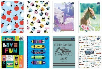 Zeszyt in 16 3-linia kolorowa 175144 /20/320