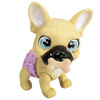Pamper Petz Buldog francuski 094911