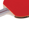 Rakietka do ping ponga COMPETITOR AN 217096