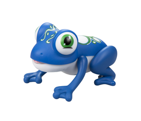 Gloopy frog 885658