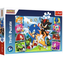 Puzzle Trefl 100 Poznaj Sonica 164657