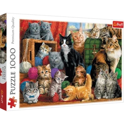 Puzzle Trefl 1000 Kocie spotkanie 105551