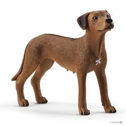 Schleich rhodesian ridgeback figurka 007229