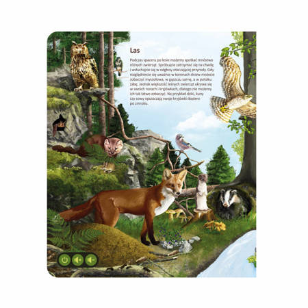 Albik książka świat zwierząt interaktywna 774646