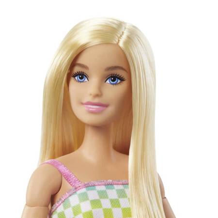 Barbie HJT13 Lalka na wózku inwalidzkim 094127