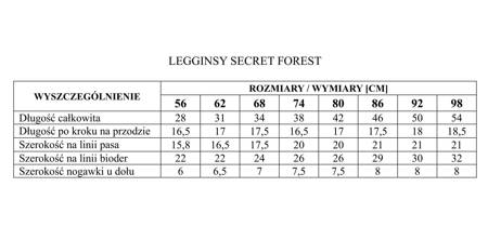 LEGINSY SECRET FOREST 62 GRANAT PINOKIO