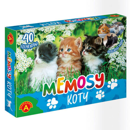 Pamięć Memosy Koty 027853