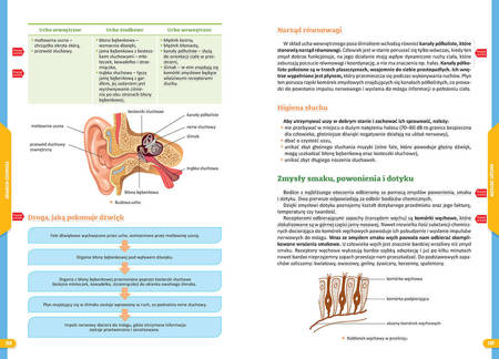 Repetytorium Szkoła podstawowa Biologia 2023 178449