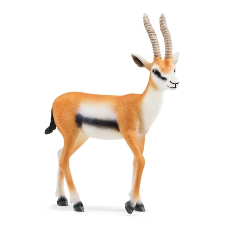 Schleich Gazela Thomsona Wild Life 543765