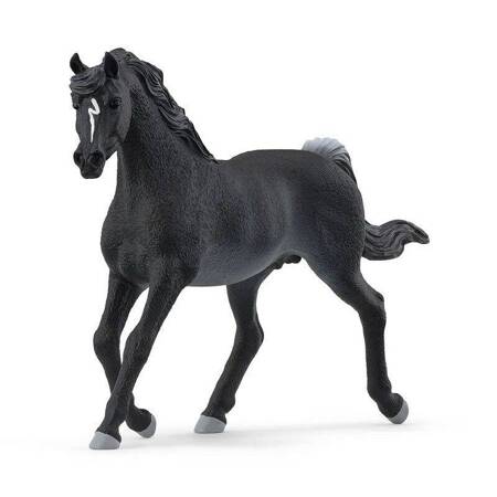 Schleich Ogier czystej krwi arabskiej 753676